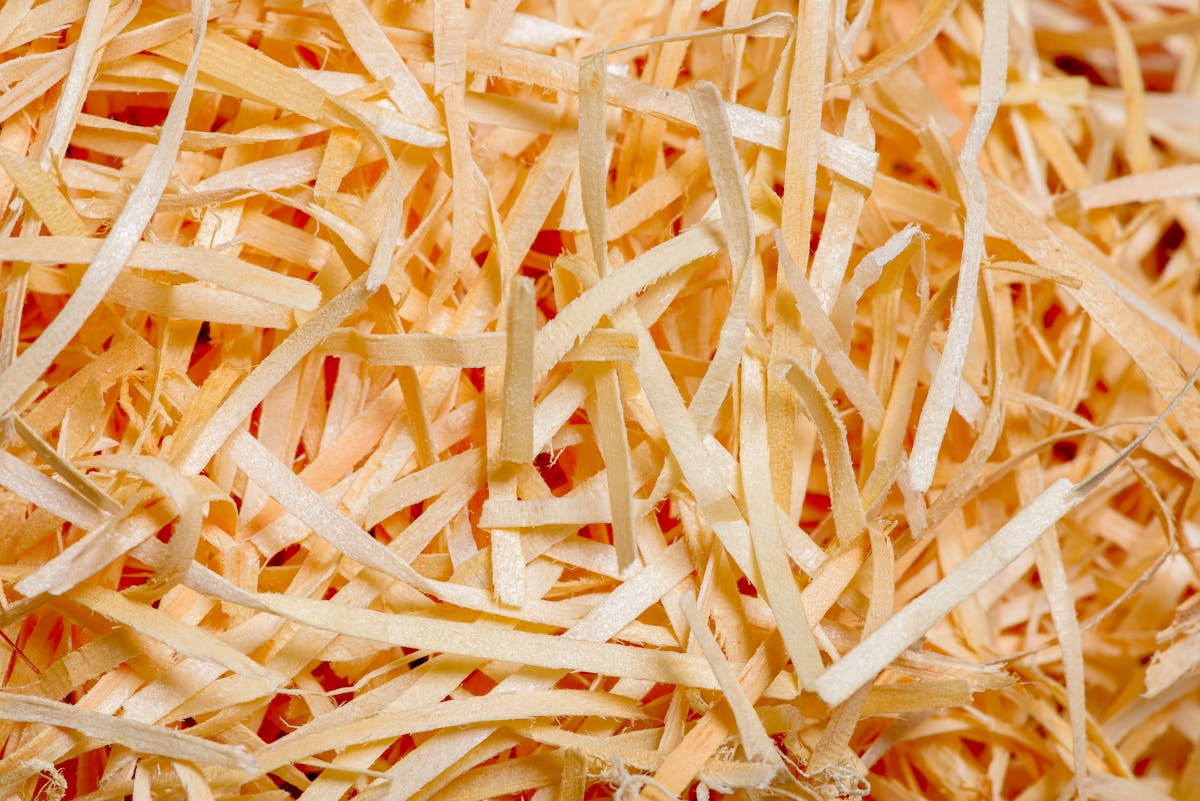 Unveiling the Strange Ingredients Hiding in Your Everyday Foods and Products 4 Detailed close-up image showing the texture and patterns of shredded paper mixed with a warm orange hue.