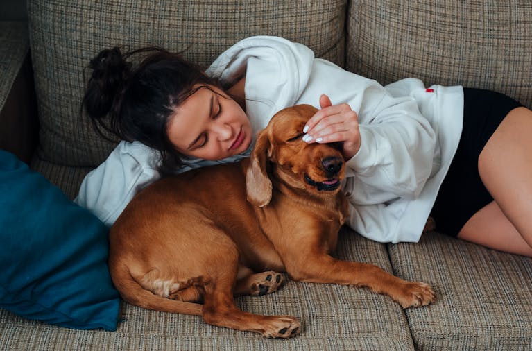 12 Hidden Plants Slowly Poisoning Your Cats and Dogs Right Now