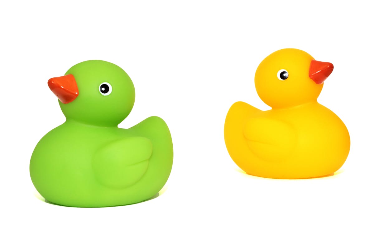 8 Unusual Reasons People Got Banned from Places for Life 2 Green and yellow rubber duck toys isolated on a white background.