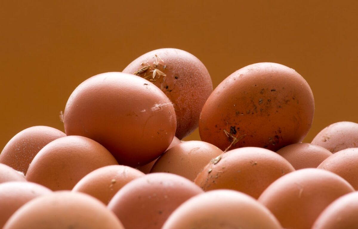 11 Common Mistakes That Are Ruining Your Fried Eggs 1 heap-of-fresh-brown-eggs-on-orange-background-