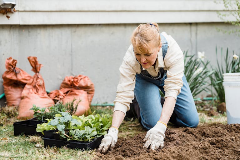 Ignore These 8 Things and Watch Your Money Waste on Your Garden