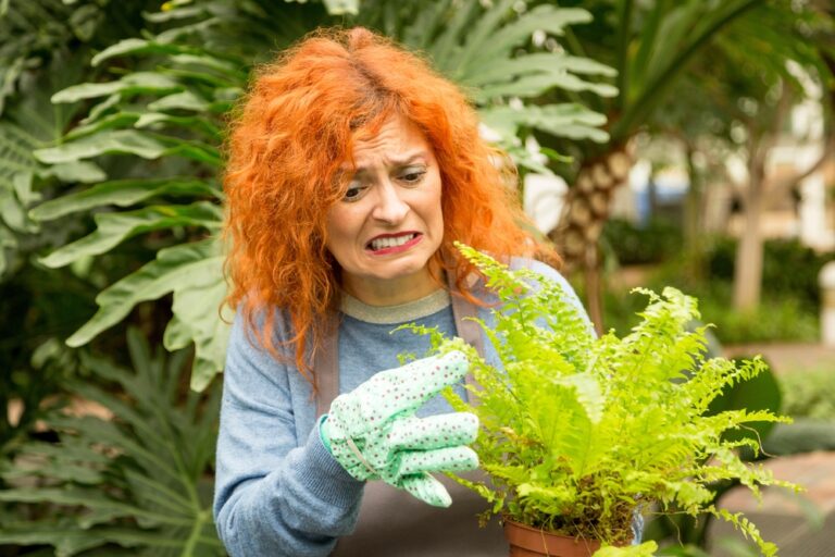 10 Gardening Mistakes That Are Secretly Destroying Your Plants and Costing You Hundreds