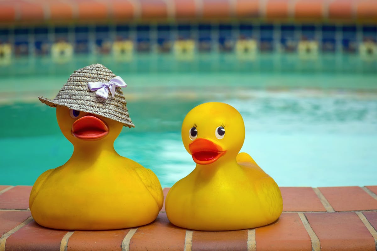 6 Weird Things on Cruise Ships Most Passengers Never Expect to Find 2 Two playful yellow rubber ducks at a poolside, bringing summer fun vibes.