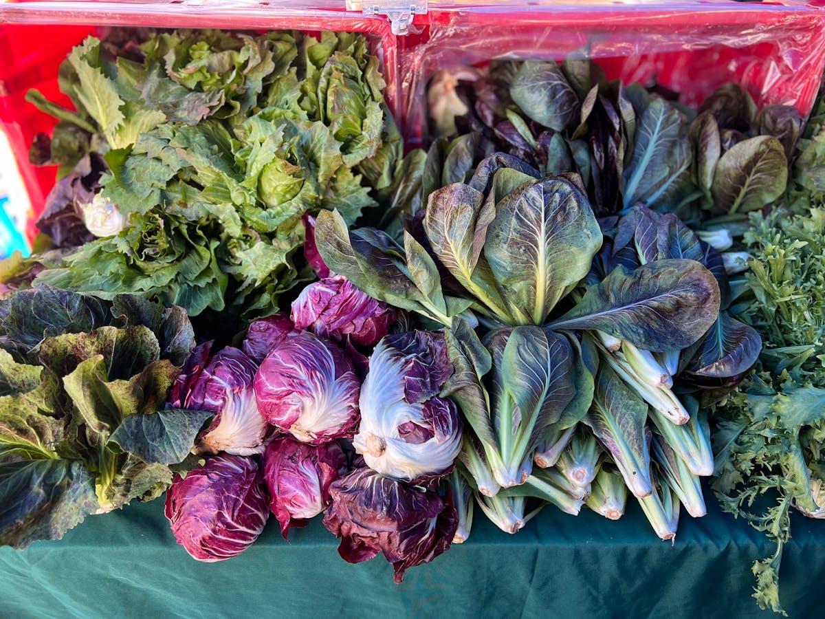 Avoid These 12 Common Bulk Buys 2 Vibrant display of fresh lettuce, radicchio, and leafy greens at a farmers market.