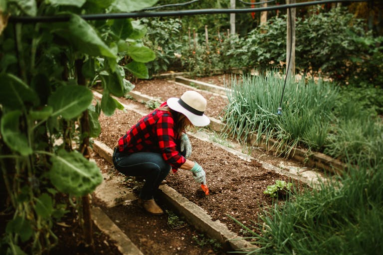 11 Smart Ways to Grow More Food Without Wasting Money