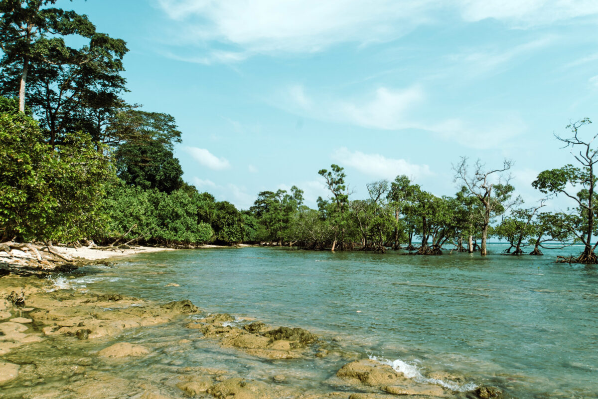 coral rocks in foreground with blue water in background at elephant beach, Havelock Island, Andaman and Nicobar, India