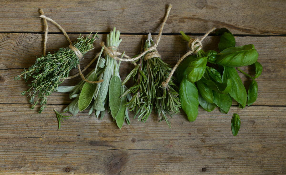 fresh organic green fragrant herbs
