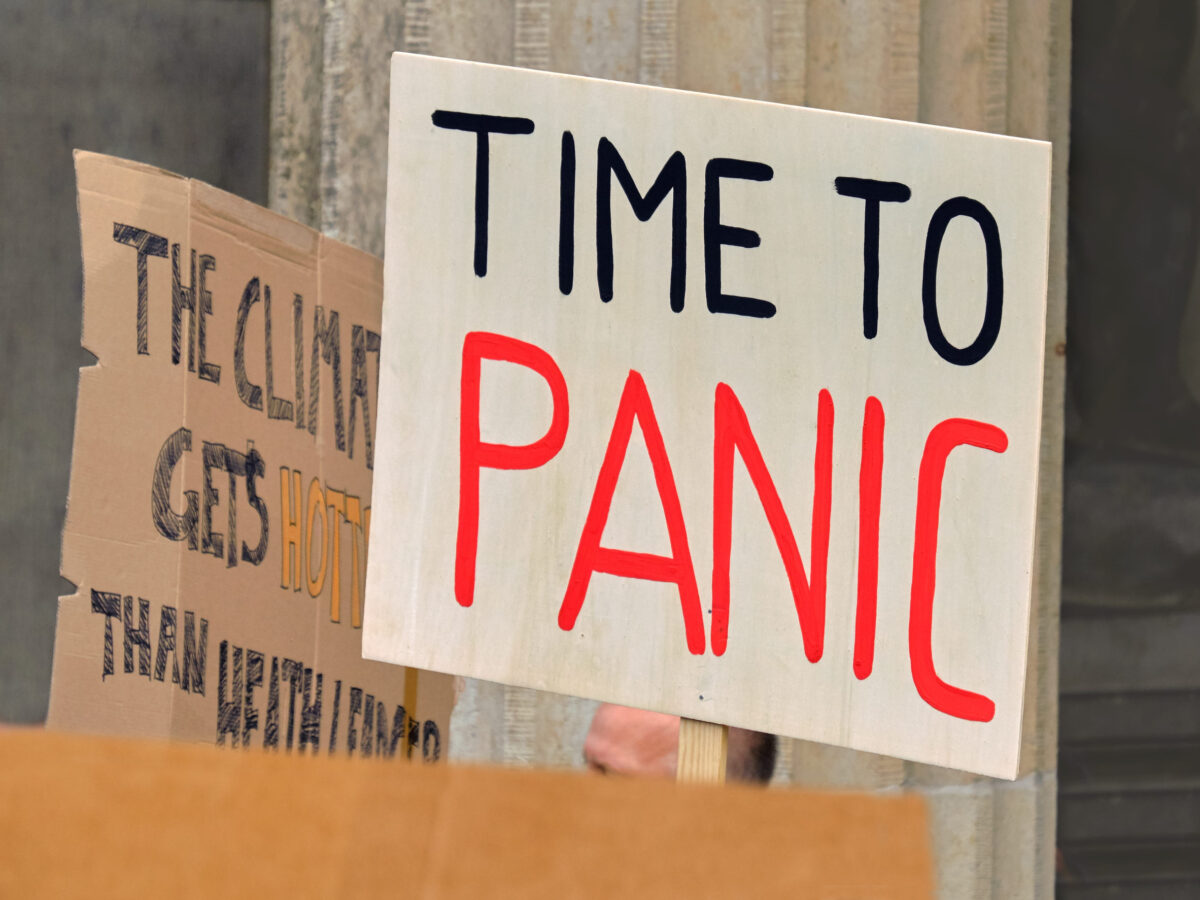 Placard "Time to panic" on a global climate strike by Brandenburg gate in Berlin