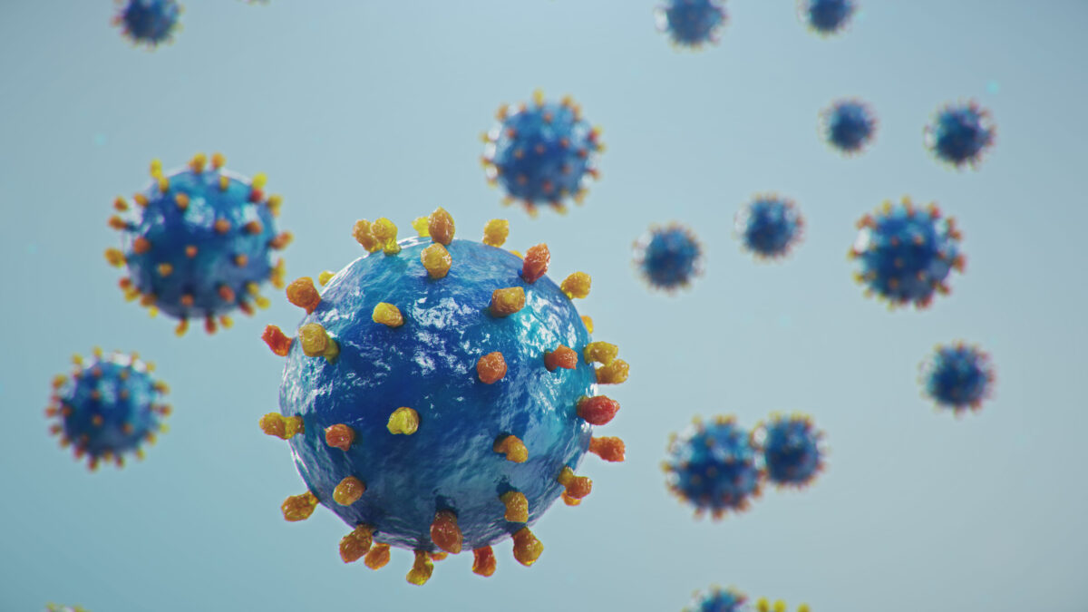 7 Reasons Hantavirus Could Become Worse Than COVID-19 1 141427601 m