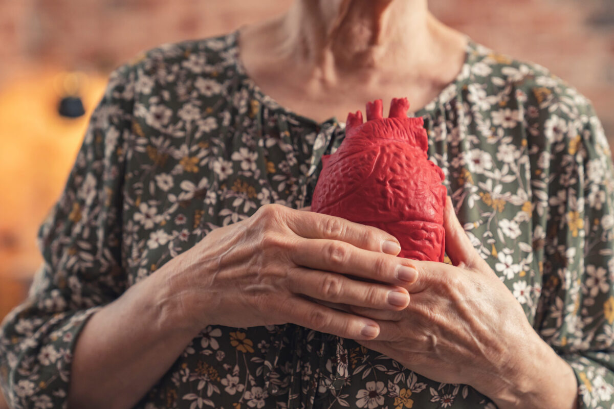 artificial red heart held in front of grandmas chest by aged hands illness, prevention, cardiovascular. High quality photo