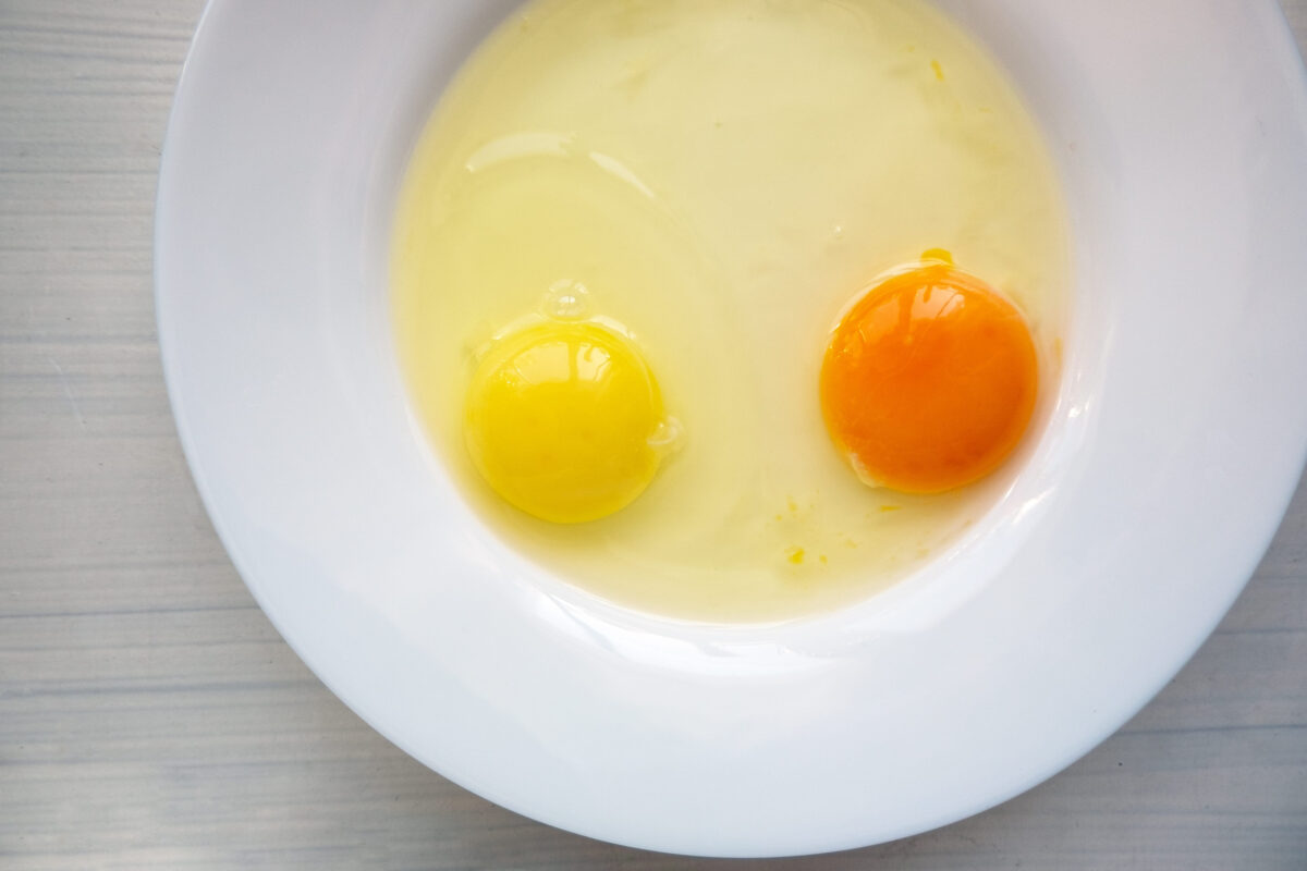Raw eggs in a white plate. Yolks of different colors