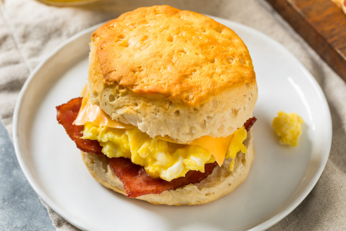 Greasy Bacon Egg and Cheese Buttermilk Biscuit Sandwich for Breakfast