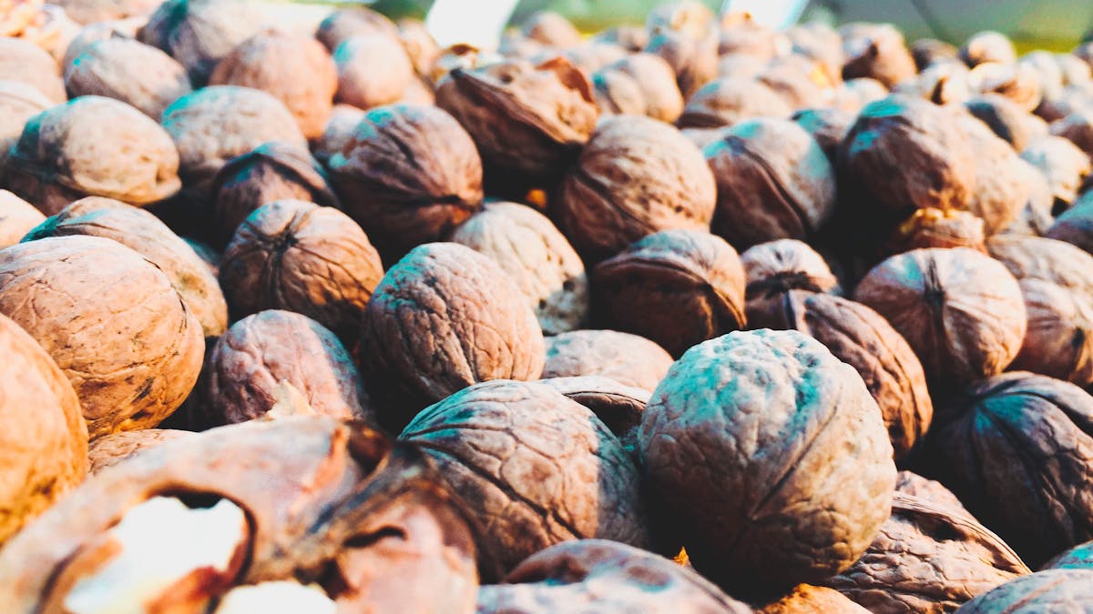 A detailed shot of numerous whole walnuts in their shells, showcasing texture.