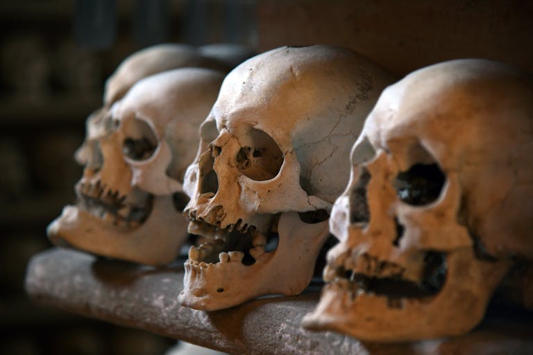 10 Terrifying Ways the Human Body Can Die, According to Science