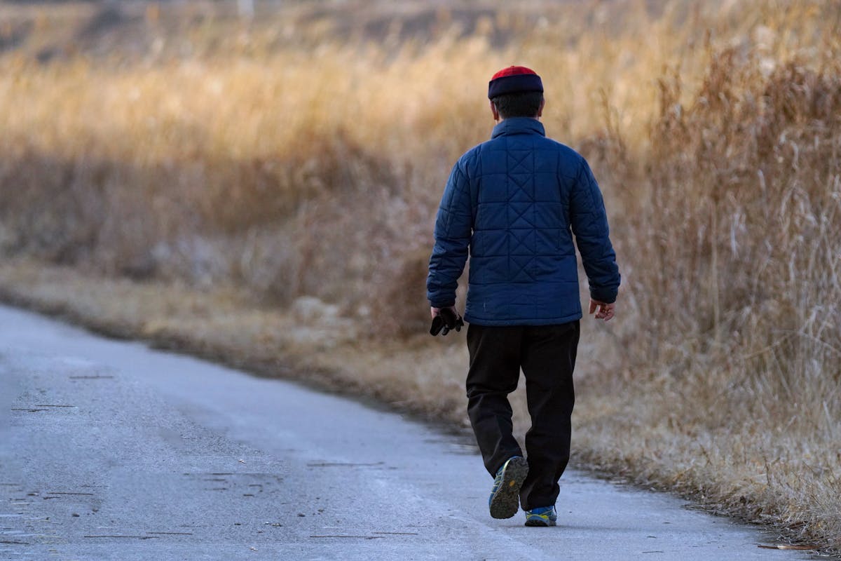 A person walks alone on a rural road in winter, surrounded by dry grass.