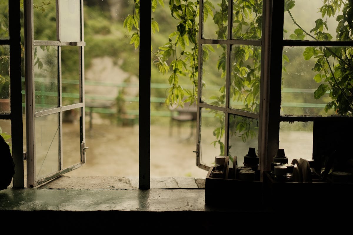 A serene view through an open window with lush green plants cascading outside, creating a peaceful ambiance.