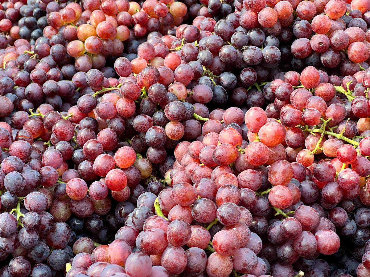 A vibrant display of fresh red grapes, perfect for commercial and culinary use.