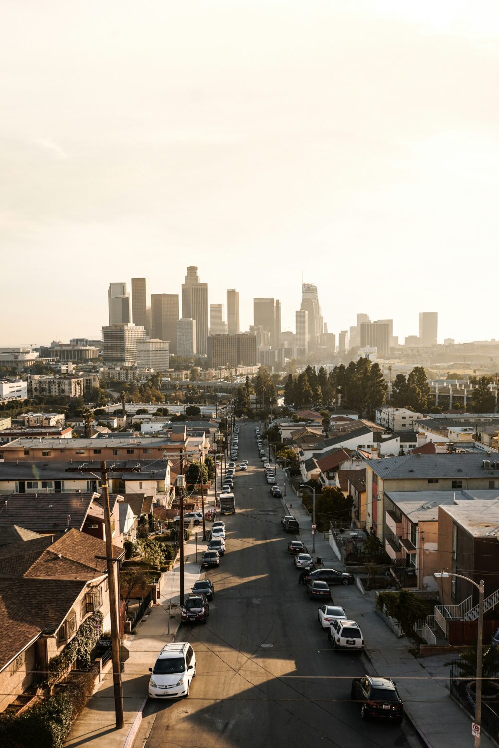 alexis balinoff 2KIDkMzmO k unsplash 1