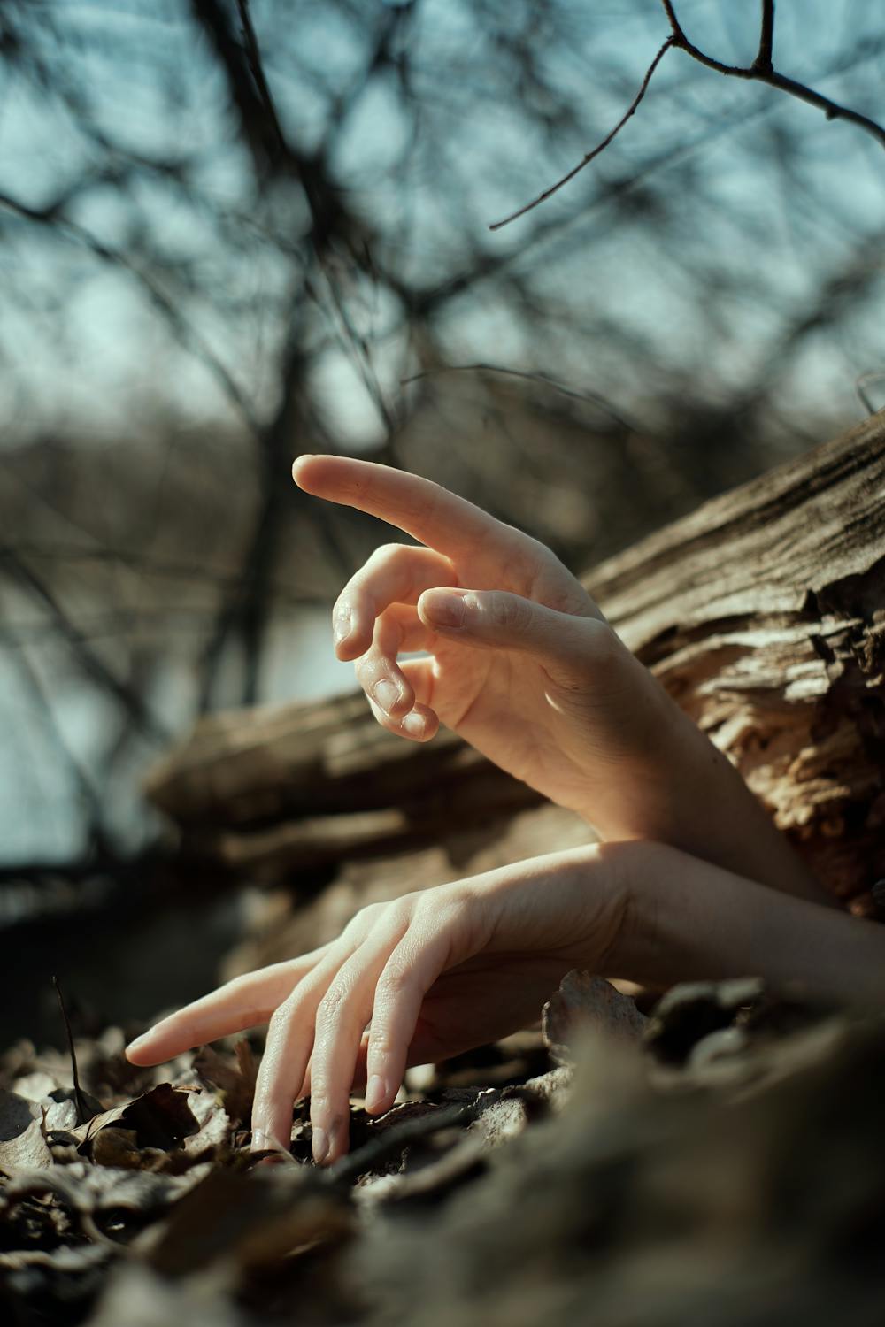 Artistic close-up of hands amidst dried leaves and logs in a woodland area, showcasing natural textures.