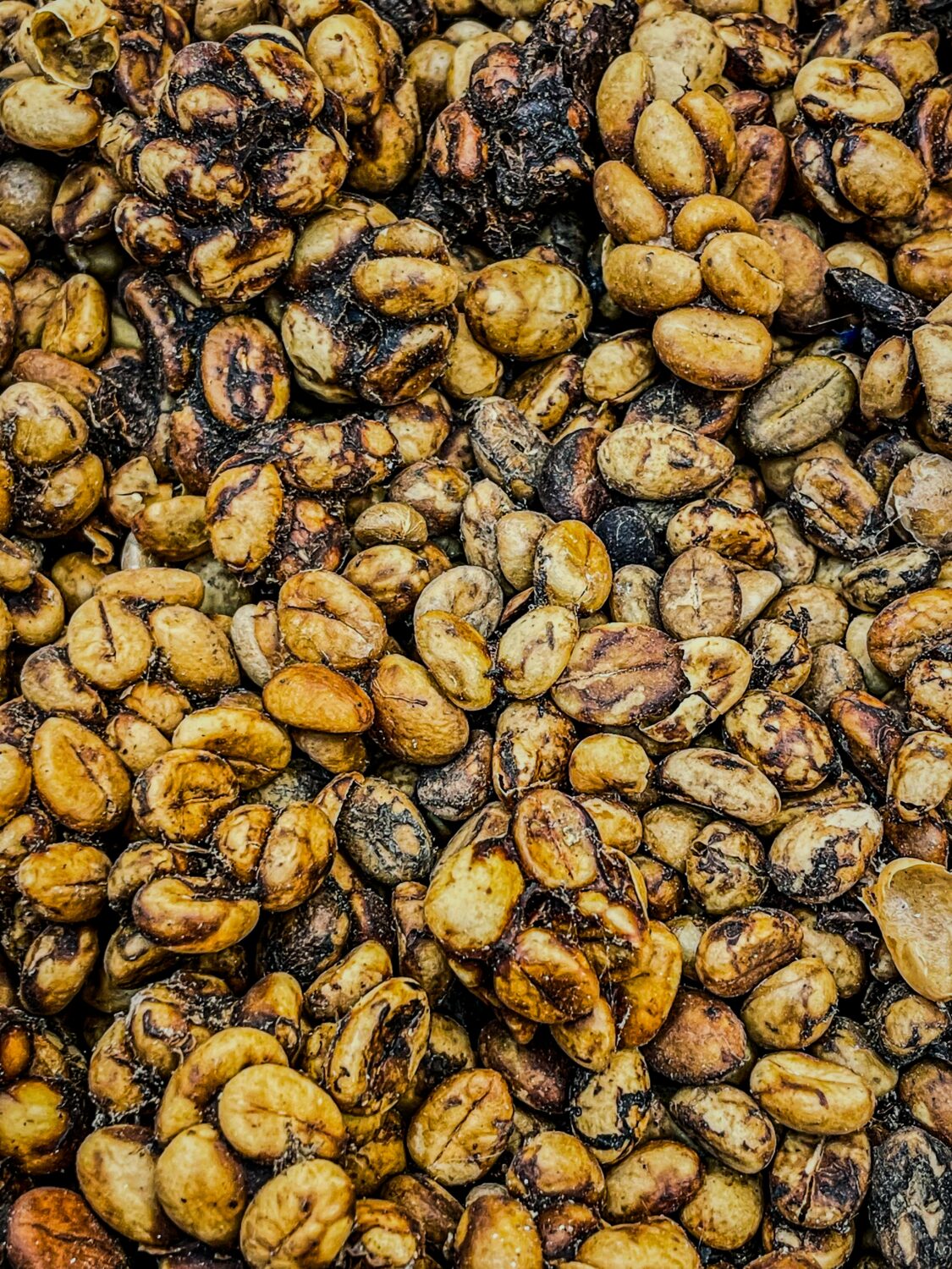 bernd dittrich HlRseKaoyeo unsplash