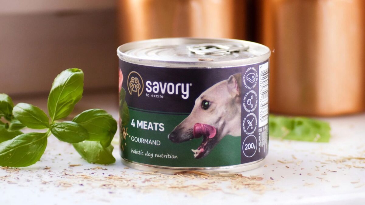 canned dog food on kitchen counter