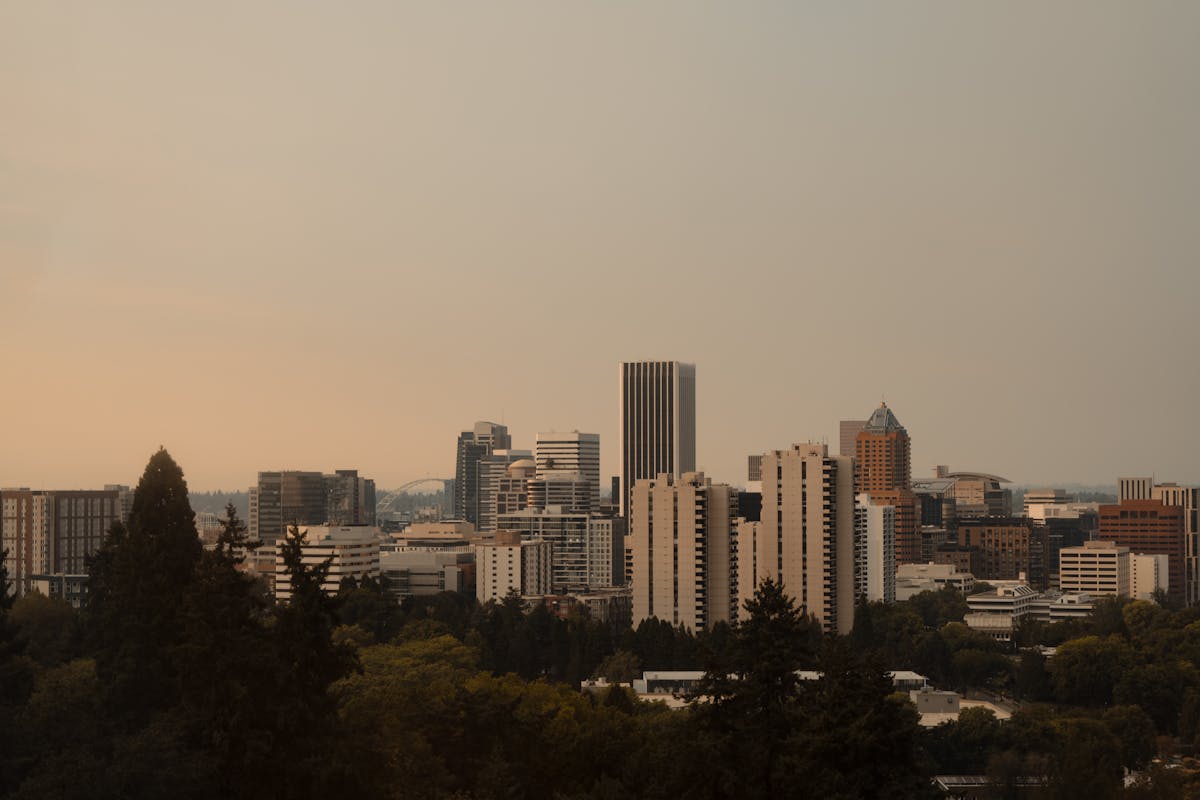 Americans Are Watching Their Paychecks Shrink: These States Take the Biggest Share of Residents’ Income in Taxes 2 Captivating Portland skyline framed by trees at sunset, highlighting urban architecture.