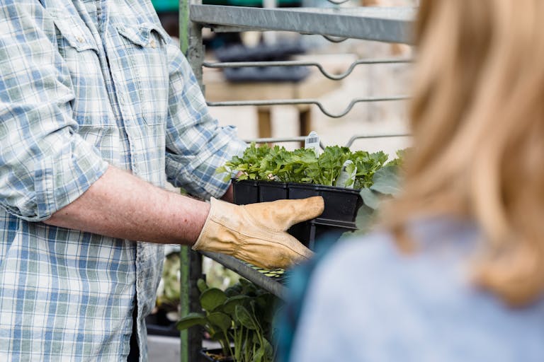 Michigan Cyclospora Outbreak Turns Deadly As Rare Parasite Claims First Confirmed U.S. Deaths