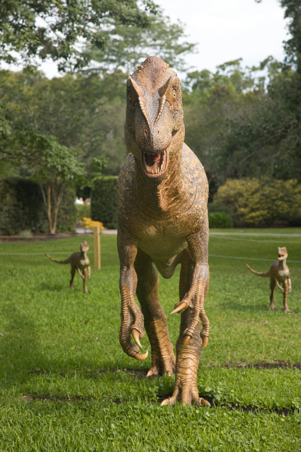 You Won’t Believe Why Dinosaurs Grew So Big...Check Out These 7 Reasons 4 david valentine URoAv2A9PI unsplash