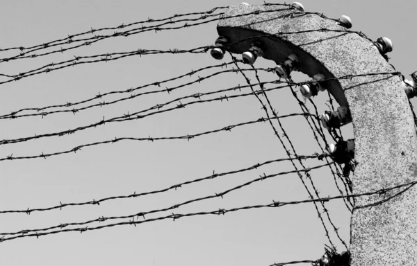 depositphotos 8208096 stock illustration freedom and prison