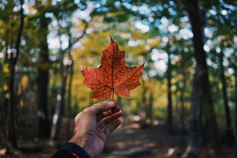 10 Blunt Things Americans Quietly Think About Canada