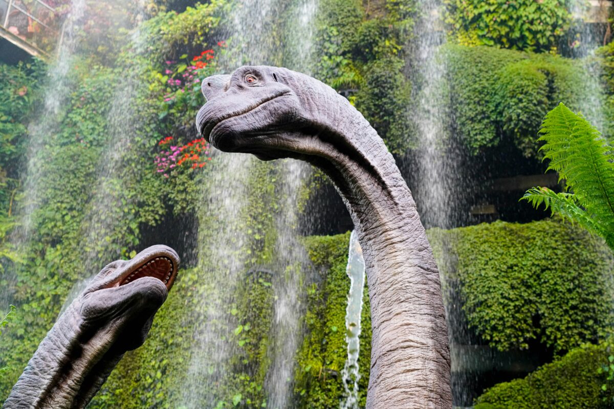 You Won’t Believe Why Dinosaurs Grew So Big...Check Out These 7 Reasons 2 j m uWq vMNTSU0 unsplash