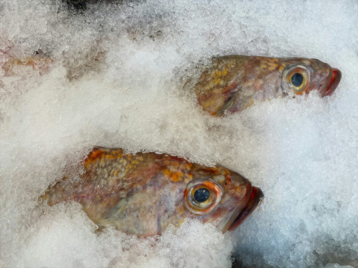 10 Freezer Foods You Should Toss Before They Ruin Your Kitchen 3 jan canty vo6LIPkWiWk unsplash