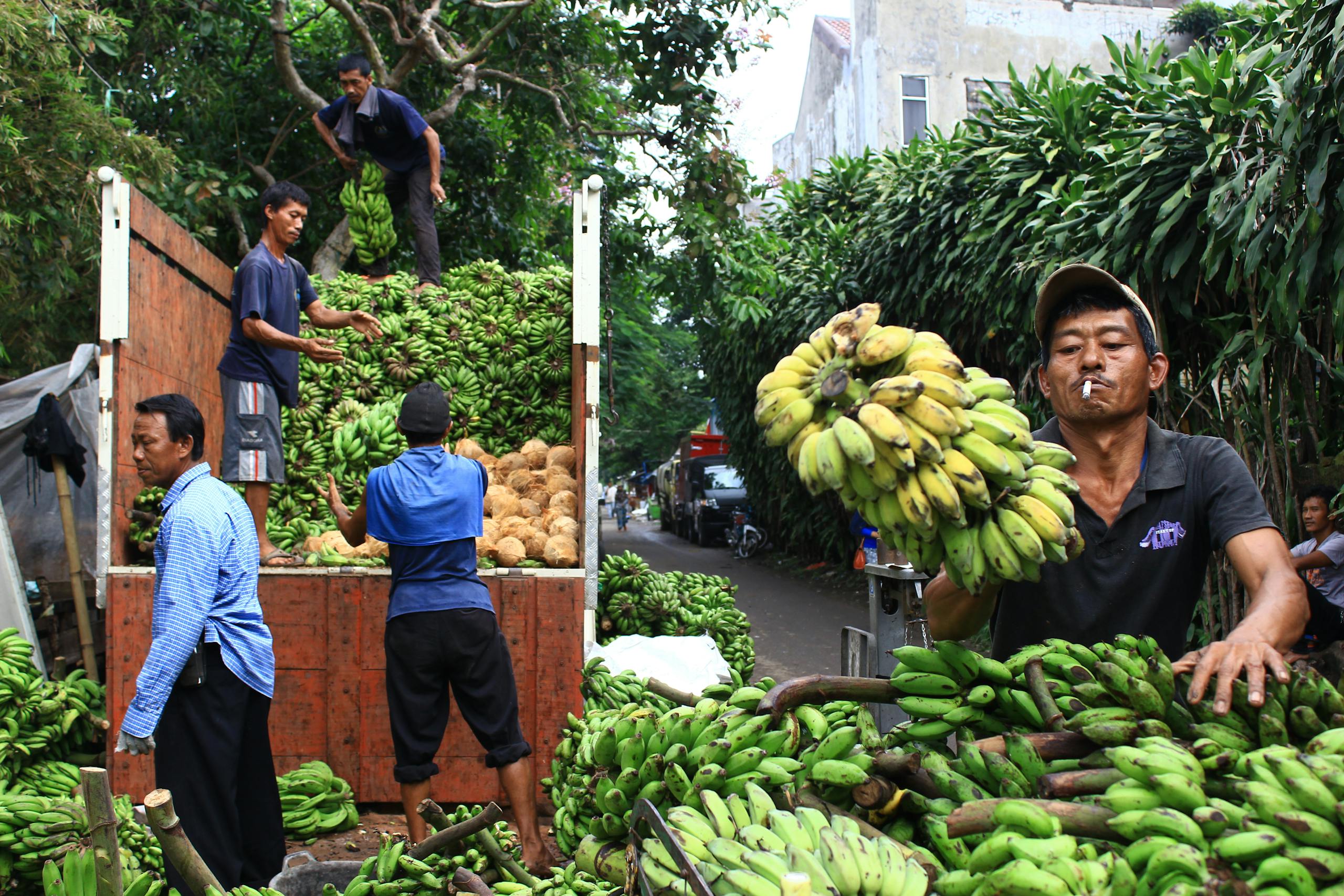 7 Dark Banana Stories That Make America’s Favorite Fruit Look Less Innocent 4 Men loading ripe bananas onto a truck in a busy urban street market in Jawa Barat, Indonesia.