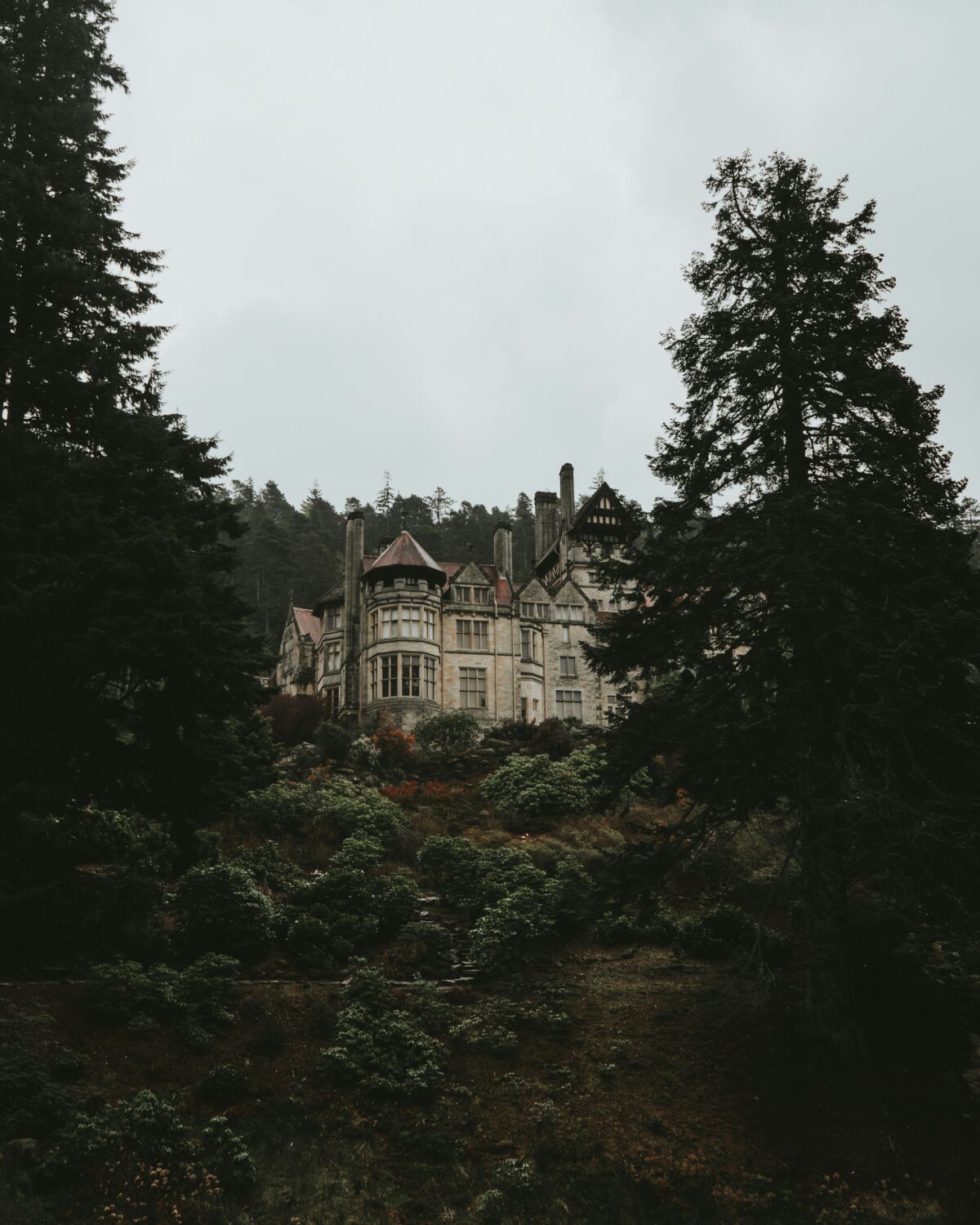 nathan mcdine Sz2UlMzTv4I unsplash