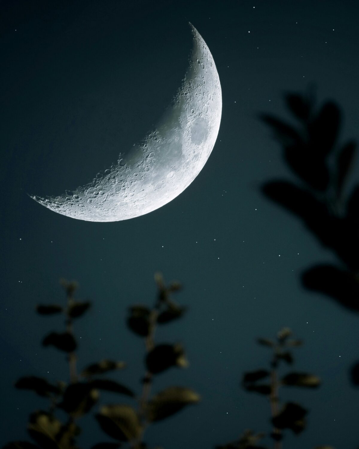 pascal debrunner S6 7yyiwr0 unsplash