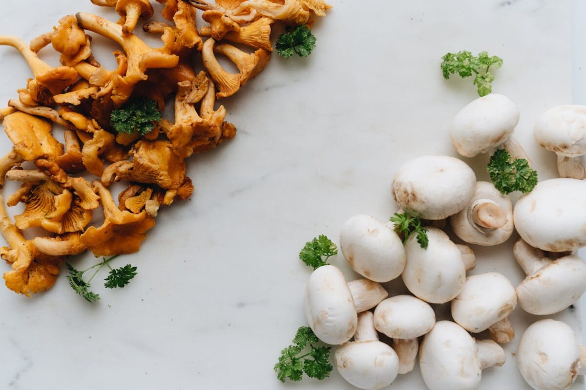 10 Deadly Foods You Never Knew Could Kill You 4 /bunch-of-mushrooms-on-marble-surface
