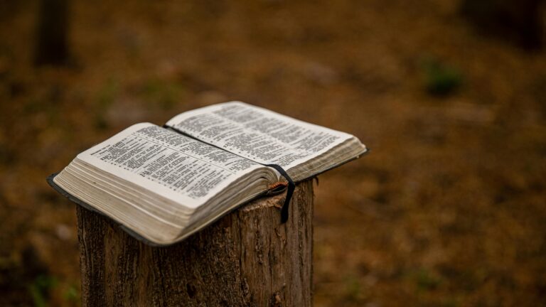 8 Debunking Common Misconceptions About the Bible