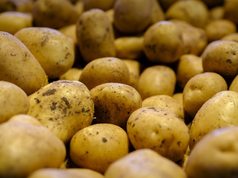 Potato Storage Mistake Quietly Ruining Food in Homes Without Anyone Noticing 