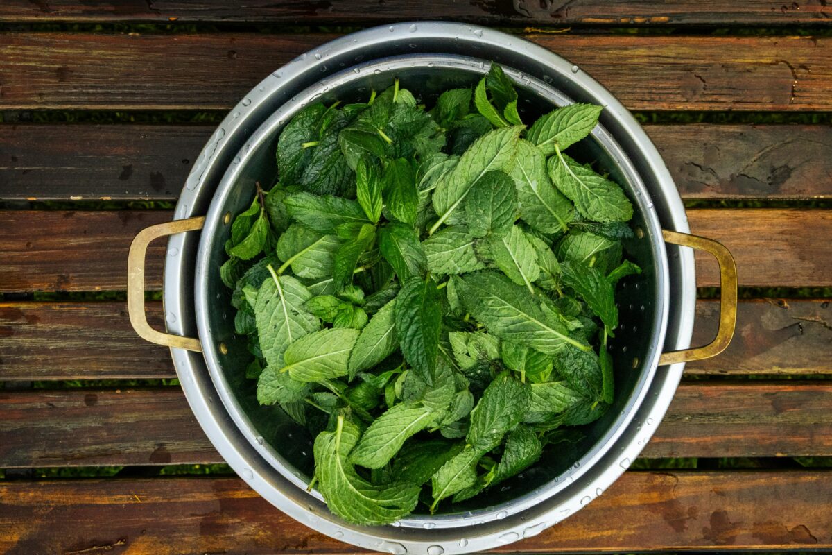 fresh-mint-leaves-in-a-colander-on-wooden-surface