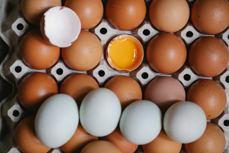 Malaysia’s Egg Industry Investigates Whether Haze Is Harming Chicken Productivity