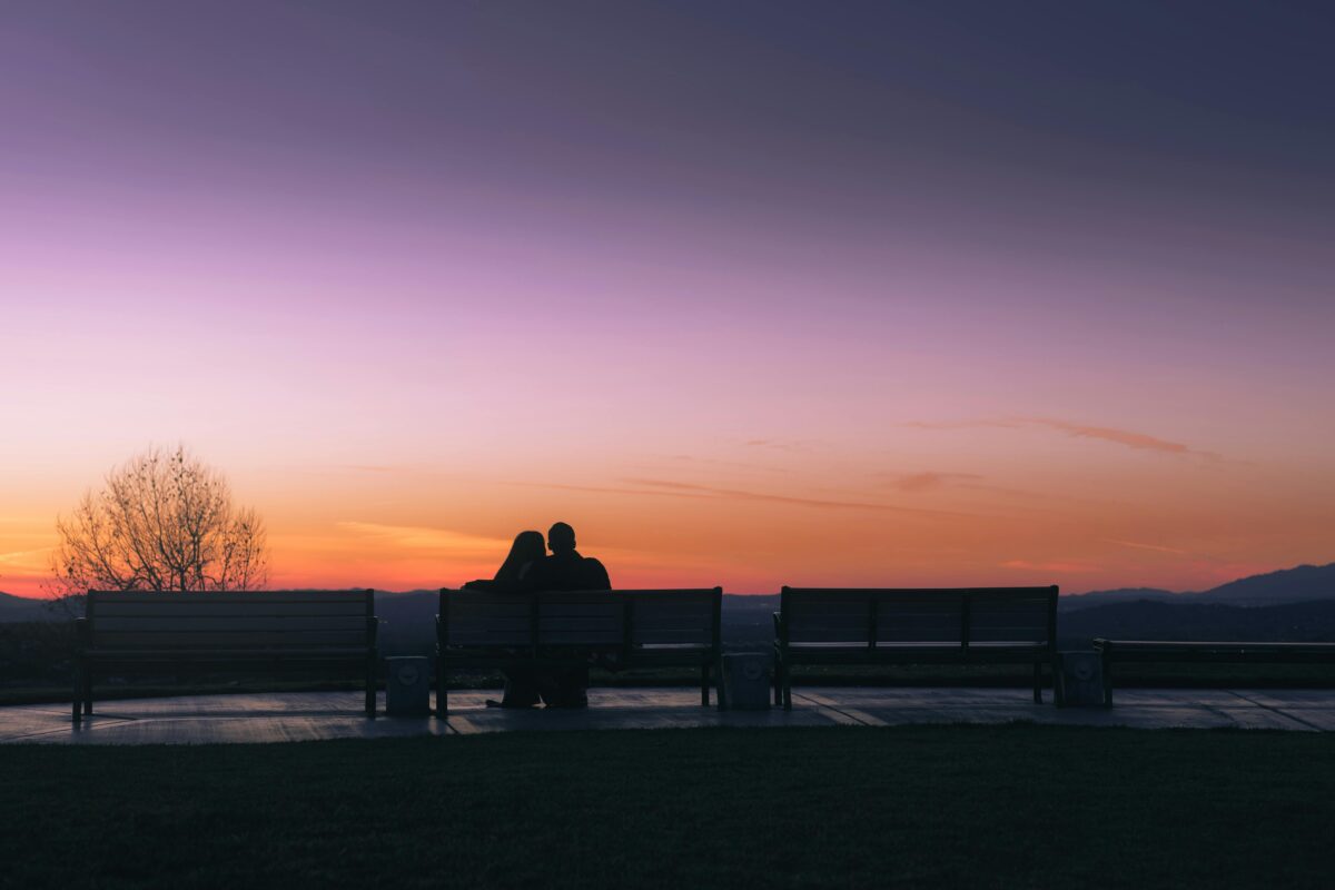 pexels smepictures 19788111
