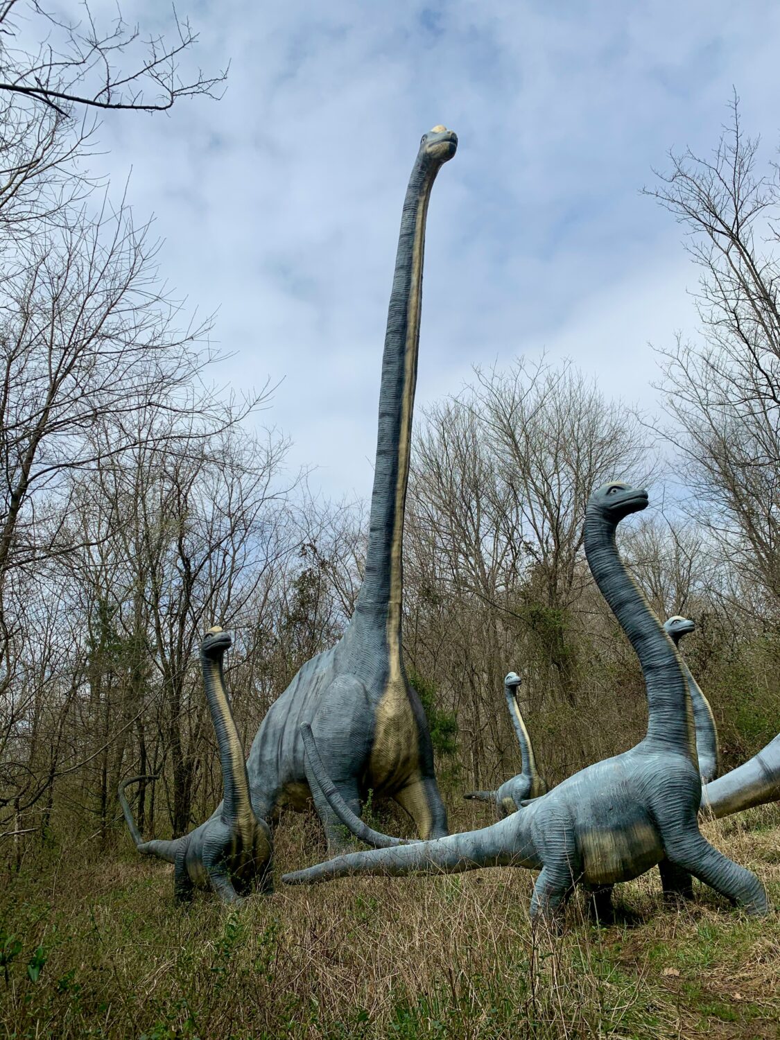 You Won’t Believe Why Dinosaurs Grew So Big...Check Out These 7 Reasons 3 scott greer XfQ3t7AGTv0 unsplash