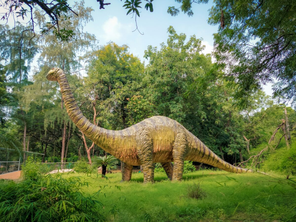 You Won’t Believe Why Dinosaurs Grew So Big...Check Out These 7 Reasons 1 vaibhav pixels x JNASSWc34 unsplash