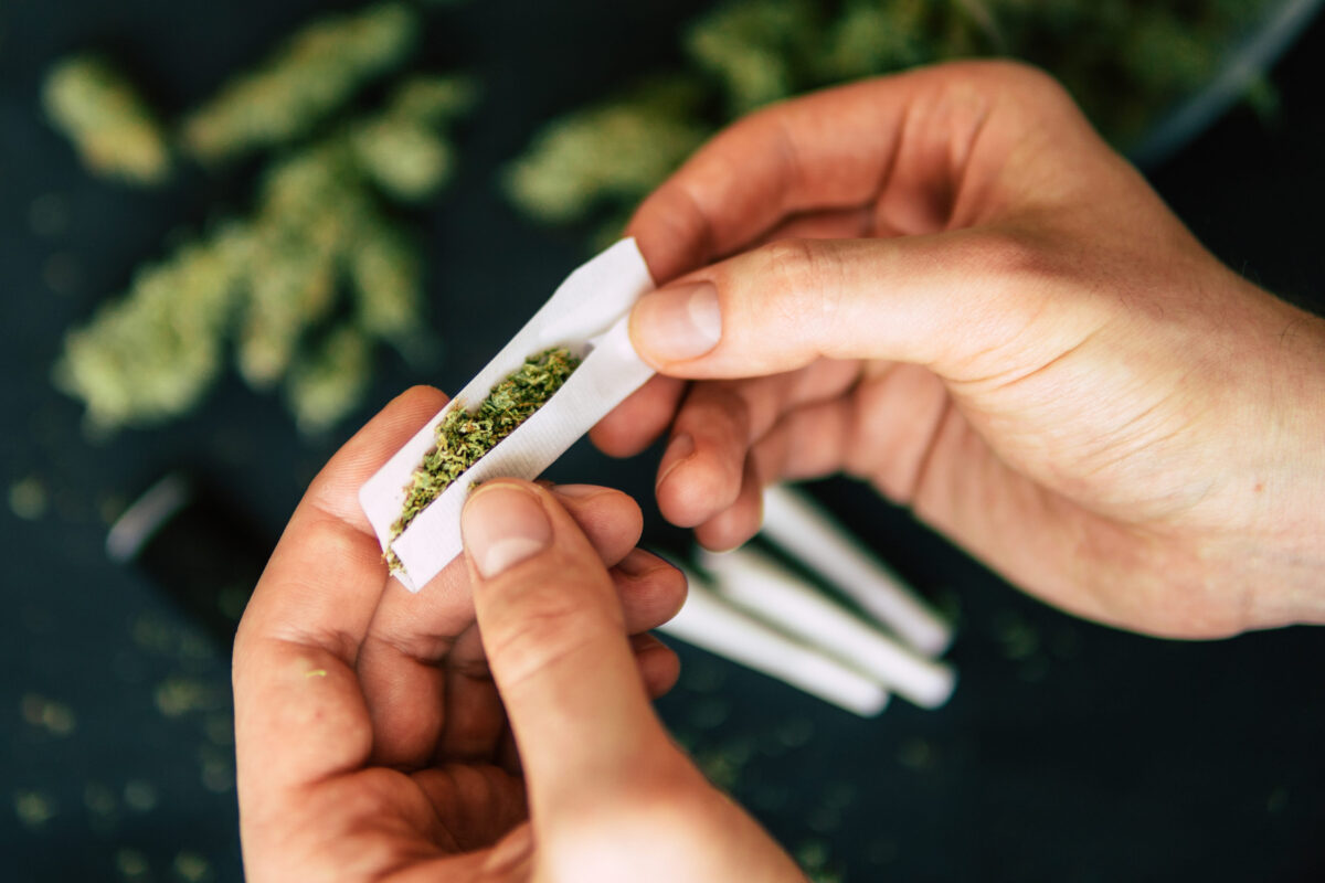 Rolled joint cannabis weed in hand of man