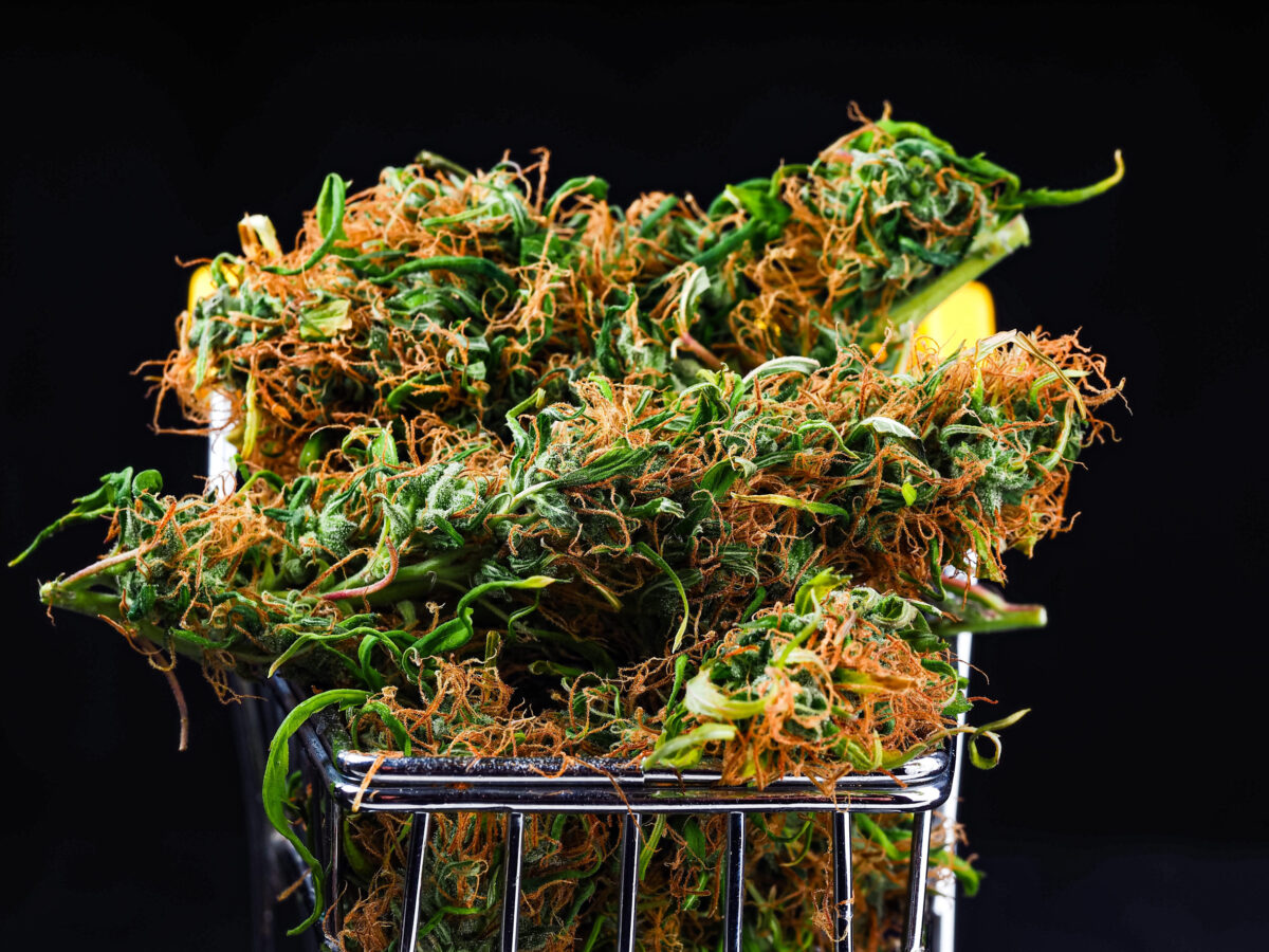supermarket trolley marijuana medical cannabis oil cbd