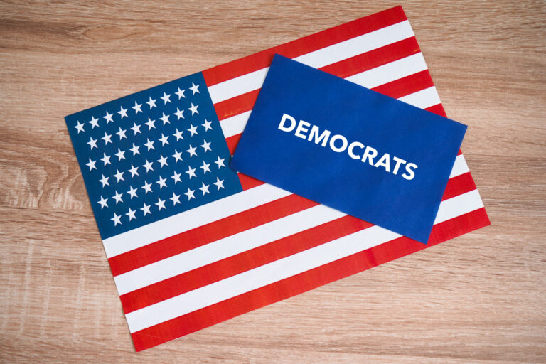 The Avila Chevalier Effect: How Ranked-Choice Primaries, Low Turnout Power, and Movement Networks Are Redrawing Democratic Party Control