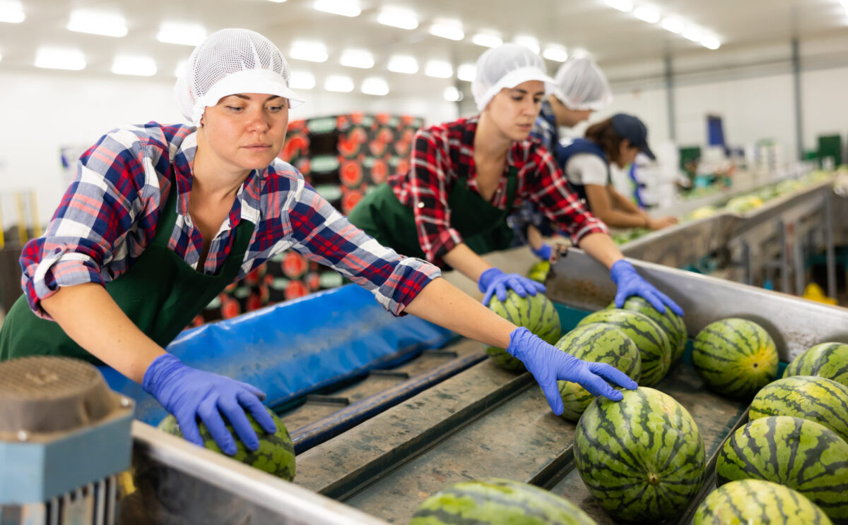8 Ways You’re Accidentally Ruining Your Watermelon Before Leaving the Grocery Store 6 252248512 l