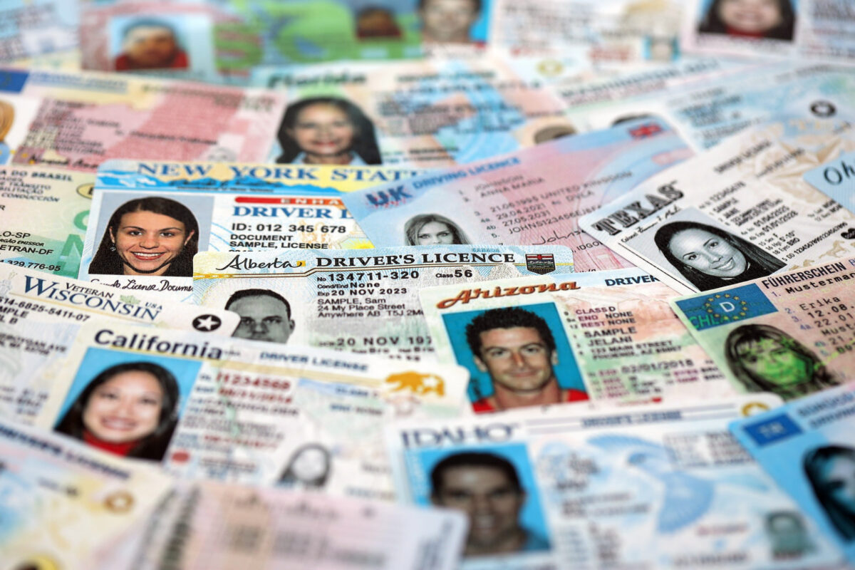 KYIV, UKRAINE - OCTOBER 1, 2025 Many driver license cards specimens in big pile close up. Driving permit expiration concept