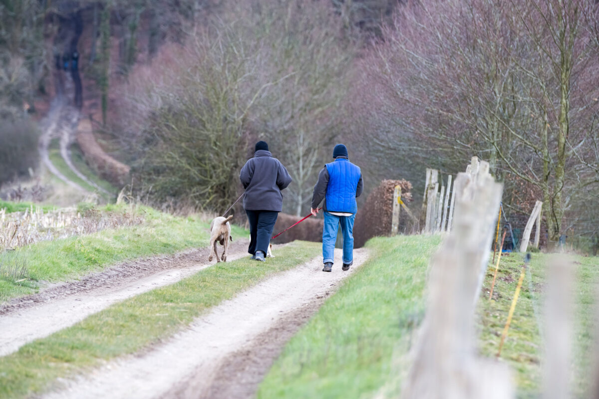 Elderly man and woman hiking and walking with dog in nature