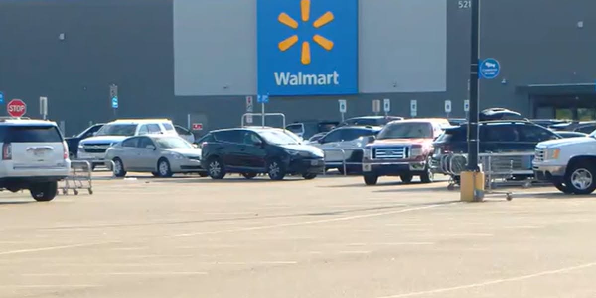 Child Killed in Senatobia, Mississippi After Officer Fires on Vehicle Following Shoplifting Call, Police Say 1 720408723 1439749181522240 5640034263103981533 n